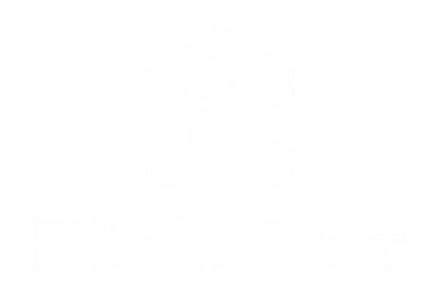 BloxRiser